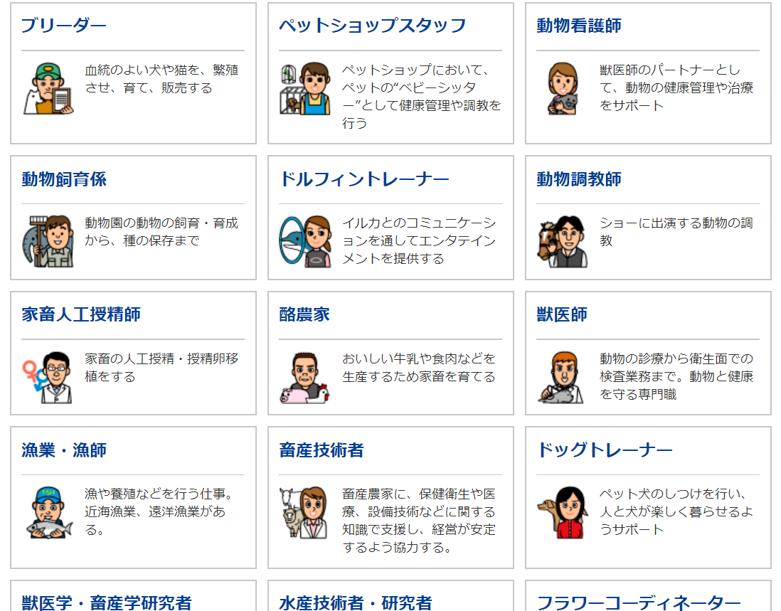 適職診断で見つかる仕事例