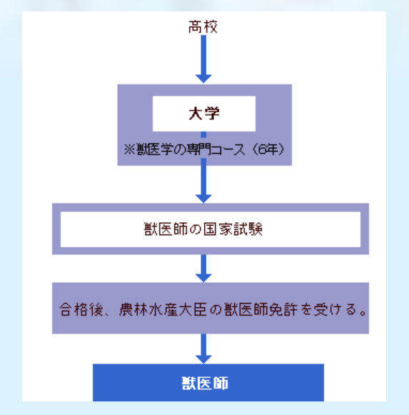 獣医師になるための進路